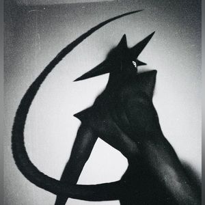 Meet your Posher, Maximilliano